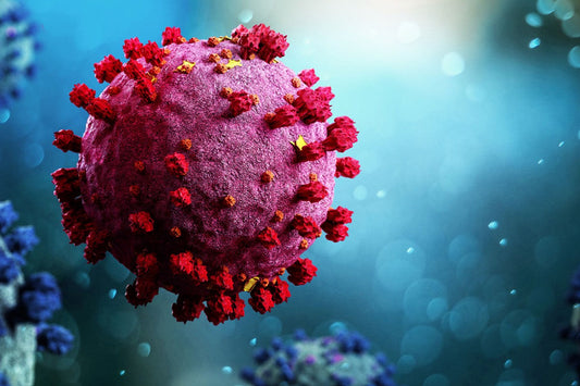 The All Natural Solution to the Deadly Spike Protein