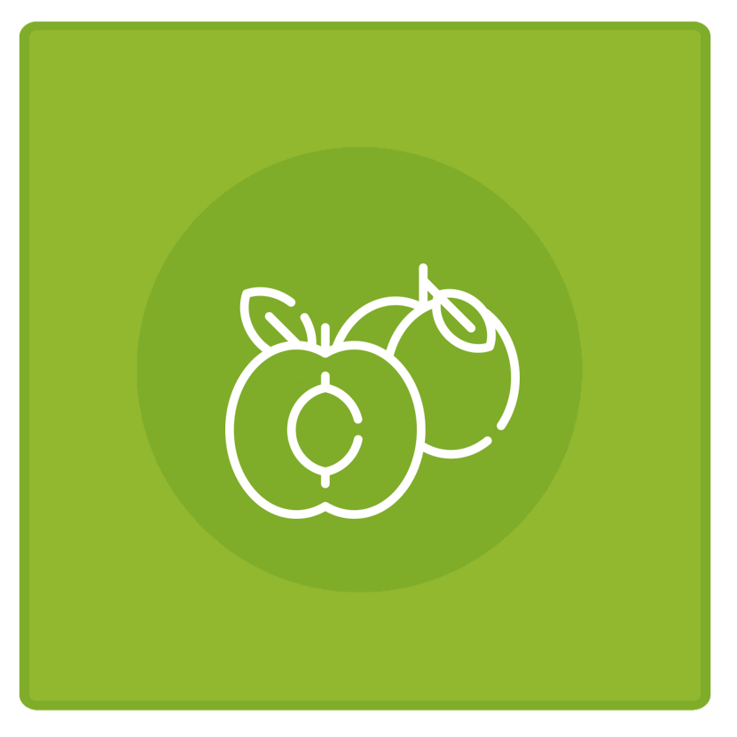 Apricot Kernel